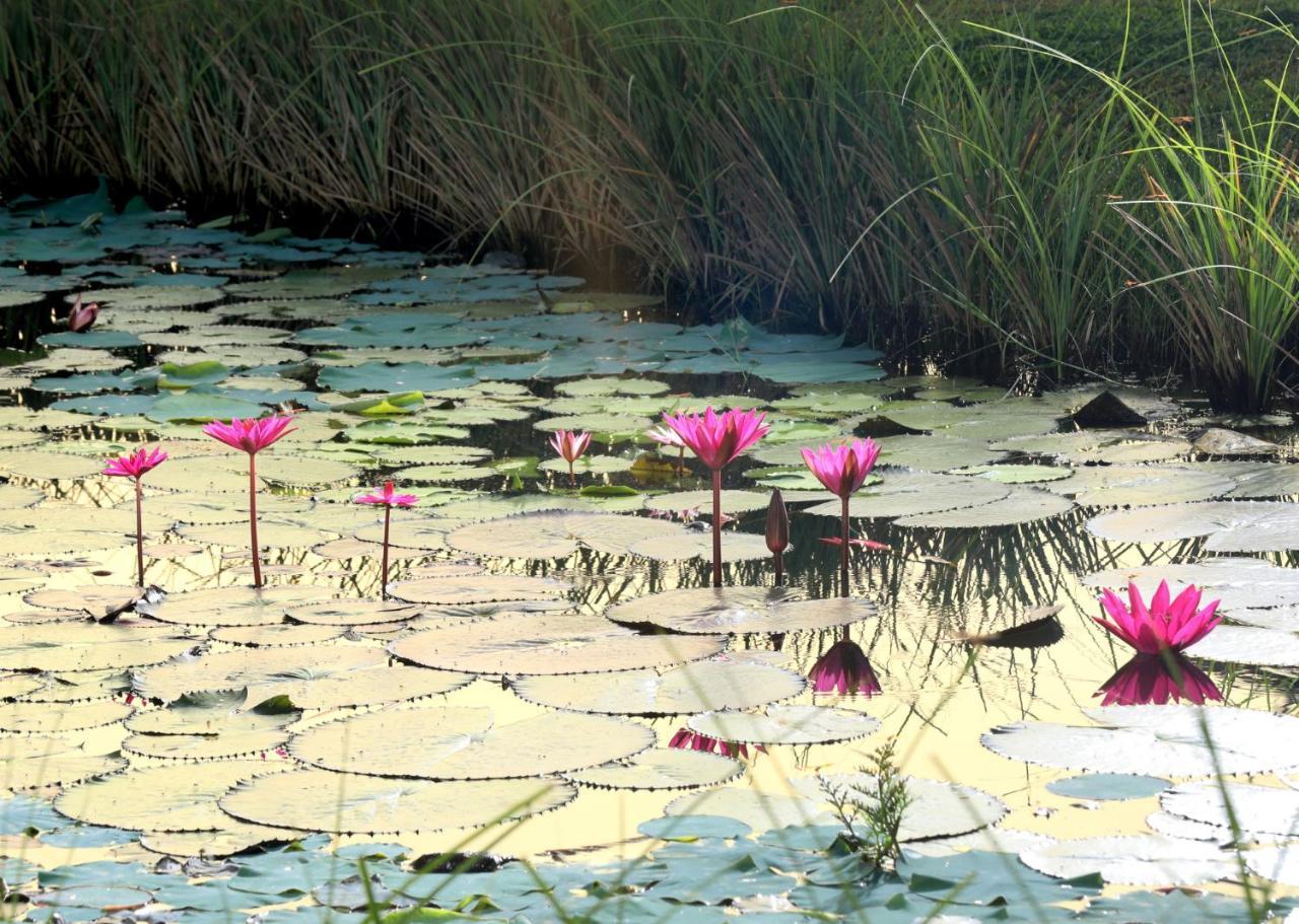 Niraamaya Wellness Retreats Backwaters And Beyond Kumarakom Esterno foto